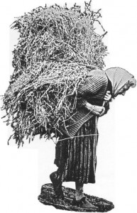 Anna på Skogen 2