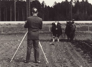 Bertil på åkern Acklinga